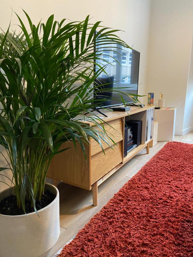 La Palmeraie - Appartement classé 4 étoiles - Hyper centre ville Quimper Exterior foto